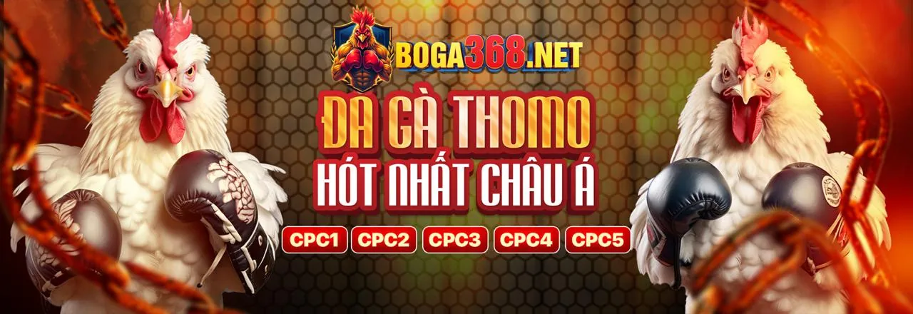 Khung cảnh sới gà trực tuyến sôi động trên nền tảng 88clup, nhà cái cá cược Việt Nam